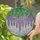 Wisteria Flowers Tiffany Stained Glass Mosaic Sky - Home Decor Gift for Peaceful Ambiance Stained Glass Suncatcher - 2