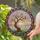Ancient Cherry Blossom Tree Pink Blossoms Mosaic Sunset Waters - Home Decor Gift Stained Glass Suncatcher - 2
