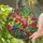 Lovebirds Perched Tropical Jungle Branch Foliage - Wildlife Lover Lifestyle Home Decor Gift Stained Glass Suncatcher - 2