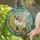 Stained Glass Siamese Cat Angel Wings Crescent Moon Floral - Home Decor Gift for Cat Lover Stained Glass Suncatcher - 2