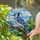 Stained Glass Blue Jay Tree Branch Green Leaves Sky Clouds - Home Decor Gift Stained Glass Suncatcher - 2