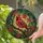 Majestic Cardinal Bird Tree Branch Maple Leaves - Home Decor Gift for Bird Lovers Stained Glass Suncatcher - 2