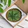 Nine-Lobed Cannabis Leaf Stained Glass Circular Frame Swirling Mosaic - Home Decor Gift Stained Glass Suncatcher - 3
