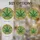 Nine-Lobed Cannabis Leaf Stained Glass Circular Frame Swirling Mosaic - Home Decor Gift Stained Glass Suncatcher - 4