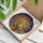 Gnarled Tree Persimmon Autumn Leaves Sun Rays - Home Decor Gift for Nature Lover Stained Glass Suncatcher - 3