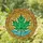 Translucent Maple Leaf Rippling Water Organic Mosaic Organic Flow - Home Decor Gift Stained Glass Suncatcher - 1