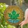 Translucent Maple Leaf Rippling Water Organic Mosaic Organic Flow - Home Decor Gift Stained Glass Suncatcher - 2