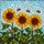 Tiffany Sunflowers Honeybees Floral Mosaic Sky Leaves - Home Decor Gift for Bee Lover Stained Glass Suncatcher - 5