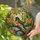 Baltimore Oriole Bird Stained Glass - Wildlife Home Decor Gift Stained Glass Suncatcher - 2
