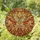 Majestic Moth Prominent Antennae Segmented Body Spread Wings - Home Decor Gift for Wildlife Lover Stained Glass Suncatcher - 1