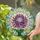 Chrysanthemum Flower Layered Petals Radiating Mosaic Glass Home Decor Gift Stained Glass Suncatcher - 2