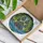 Ornate Feather Paw Print Tropical Seascape - Wildlife Lover Home Decor Gift Stained Glass Suncatcher - 3