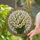 Lush Daffodils Bouquet Stained Glass - Home Decor Gift for Plant Lover Stained Glass Suncatcher - 2