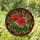 Red Geranium Flowers Green Leaves Circular Border - Plant Lover Home Decor Gift Stained Glass Suncatcher - 1