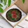 Red Geranium Flowers Green Leaves Circular Border - Plant Lover Home Decor Gift Stained Glass Suncatcher - 3