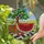 Watermelon Strawberries Picnic Basket Green Hills Sky Sun - Summer Seasonal Home Decor Gift Stained Glass Suncatcher - 2