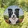 Black White Border Collie Dog Cloudy Sky Hills Home Decor Gift for Dog Lover Stained Glass Suncatcher - 1