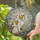 Calico Cat Botanical Stained Glass Jewel Tone - Home Decor Gift for Cat Lover Stained Glass Suncatcher - 2