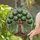 Tree of Life Stained Glass Mosaic Jeweled Canopy Radiant Sky - Home Decor Gift Stained Glass Suncatcher - 2