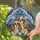 Cavalier King Charles Spaniel Dogs Floppy Ears Snuggling - Home Decor Gift for Cavalier Lovers Stained Glass Suncatcher - 2
