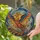 Phoenix Mythical Bird Stained Glass Cosmic Star Home Decor for Fantasy Stained Glass Suncatcher - 2