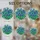 Deep Blue Tulips Emerald Green Leaves Mosaic Floral Arrangement Home Decor Gift Stained Glass Suncatcher - 4