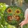 Sleeping Tabby Kittens Sunflowers Cuddled - Home Decor Gift for Cat Lover Stained Glass Suncatcher - 2