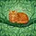 Fluffy Orange Tabby Cat Green Eyes Curled on Branch - Cat Lover Home Decor Gift Stained Glass Suncatcher - 5