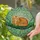 Fluffy Orange Tabby Cat Green Eyes Curled on Branch - Cat Lover Home Decor Gift Stained Glass Suncatcher - 2
