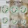 Apple Blossoms White Ribbon Green Leaves Floral Mosaic - Home Decor Gift Stained Glass Suncatcher - 4