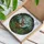 Majestic Buck Prominent Antlers Ferns Forest Sky Heart - Wildlife Lover Home Decor Gift Stained Glass Suncatcher - 3