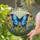 Blue Butterfly Tiffany Stained Glass Flowers - Window Home Decor Gift Stained Glass Suncatcher - 2