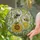 Flying Bee Sunflower Honeycomb Wildflowers - Home Decor Gift for Wildlife Lovers Stained Glass Suncatcher - 2