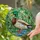 Mallard Duck Pond Stained Glass Scene - Wildlife Lover Home Decor Gift for Bird Watchers Stained Glass Suncatcher - 2