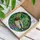 Mallard Duck Pond Stained Glass Scene - Wildlife Lover Home Decor Gift for Bird Watchers Stained Glass Suncatcher - 3