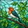 Colorful Perched Bird Branch Mosaic Glass - Home Decor Gift for Wildlife Lover Stained Glass Suncatcher - 5