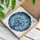 Blue Vase White Blue Flowers Dark Blue Butterflies Home Decor Gift Stained Glass Suncatcher - 3