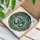 Ornate Om Aum Symbol Geometric Patterns Circular Border - Yoga Lifestyle Home Decor Gift Stained Glass Suncatcher - 3