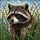 Raccoon Head Black Mask Whiskers Tall Grass Reeds - Wildlife Home Decor Window Gift Stained Glass Suncatcher - 5