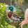 Mallard Duck Tiffany Glass Landscape Serene Hills Home Decor Gift for Wildlife Lovers Stained Glass Suncatcher - 2