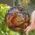 Squirrel Acorn Tree Branch Autumn Leaves Forest Sky - Wildlife Lover Home Decor Gift Stained Glass Suncatcher - 2