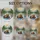 Brown Bear Family River Mountain Forest - Wildlife Lover Gift Stained Glass Suncatcher - 4