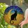 Black Cat Glowing Eyes Golden Moon Starry Sky - Home Decor Gift for Cat Lover Stained Glass Suncatcher - 2