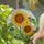 Sunflowers Bumblebees Green Leaves Sky - Garden Decor Gift for Flower Lovers Stained Glass Suncatcher - 2