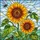 Sunflowers Bumblebees Green Leaves Sky - Garden Decor Gift for Flower Lovers Stained Glass Suncatcher - 5