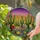 Stained Glass Desert Landscape Blooming Cacti Flowers Mosaic Sky - Home Decor Gift Stained Glass Suncatcher - 2