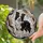Black White Border Collie Dog Amber Eyes Smiling - Dog Lover Home Decor Gift Stained Glass Suncatcher - 2