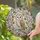 Barn Owl Autumn Leaves Frosted Ice - Wildlife Lover Home Decor Gift Stained Glass Suncatcher - 2