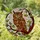 Majestic Wise Owl Tiffany Glass Geometric Mosaic Home Decor Gift for Owl Lover Stained Glass Suncatcher - 1