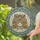 Two Owls Tiffany Style Scrollwork Mosaic - Home Decor Gift for Owl Lover Stained Glass Suncatcher - 2